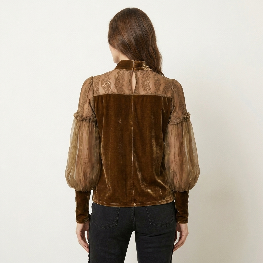 Liorina | Velvet & Sheer Lace Half-Collar Blouse